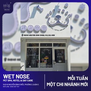 WET NOSE3