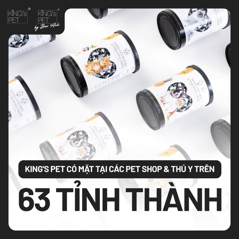 5 tiêu chí quan trọng khi xem xét một bệnh viện thú y gần đây