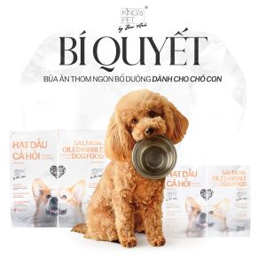 Protein thuỷ phân - chìa khóa vàng trong dinh dưỡng cho chó