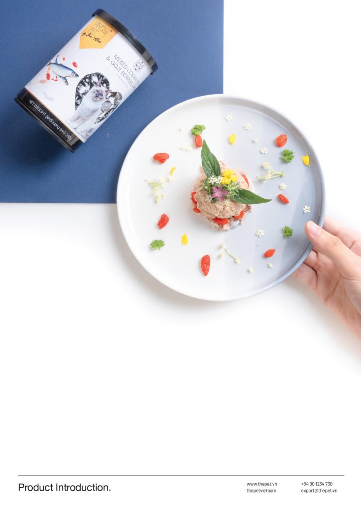 SALE KIT ENG FINAL 1 page 0022