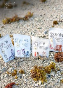 438302100 444073401643303 487980086690793566 n