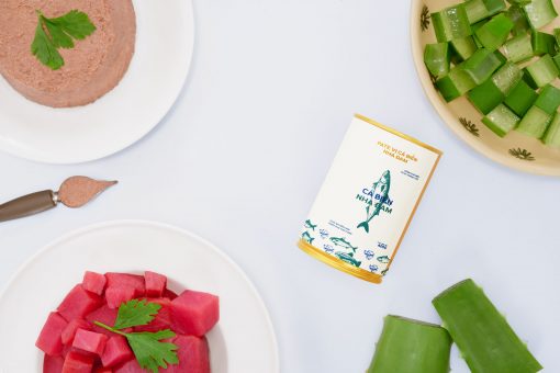 1.-ca-nha-mat-sau-scaled 1. ca nha mat sau scaled 1