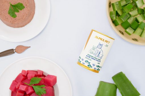 1.-ca-nha-mat-truoc-scaled 1. ca nha mat truoc scaled 1