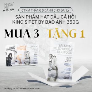 z5407658132081 2388e47703dabb32ae10924e79a3c986