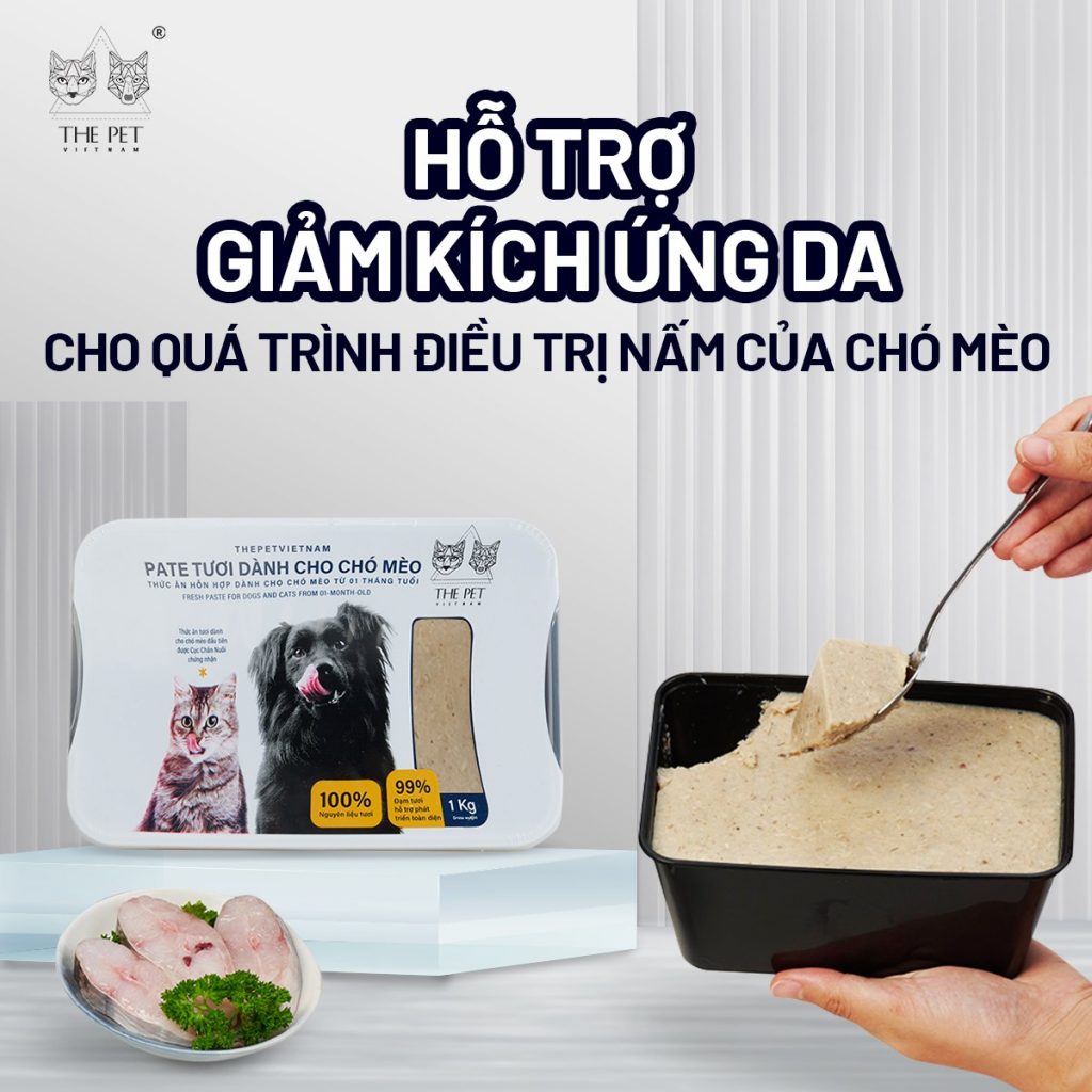 MÙA NẤM TỚI RỒI SEN CẦN LÀM GÌ ĐỂ TRÁNH “NGỨA" CẢ SEN VÀ BOSS 14 447705878 466495182734458 3821398043726014668 n