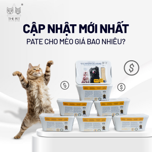 CẬP NHẬT MỚI NHẤT - Pate cho mèo giá bao nhiêu?