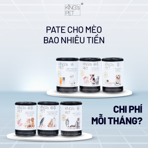 Pate cho mèo bao nhiêu tiền - Tốn nhiều chi phí mỗi tháng không? 