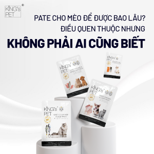 Pate cho mèo để được bao lâu? Điều quen thuộc nhưng không phải ai cũng biết