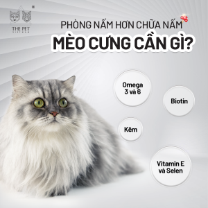 THE PET PHÒNG NẤM HƠN CHỮA NẤM 1
