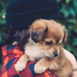 gen z i.doanhnhansaigon.vn 2018 02 02 capture 1517561883