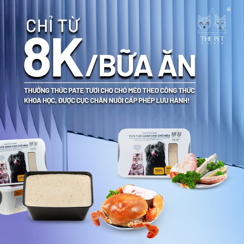 the pet vietnam z5624502501872 f4b5ca981855f2d0b7b545923e3cb500 1