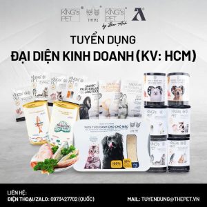 459388119 531166566267319 9164670568699861177 n