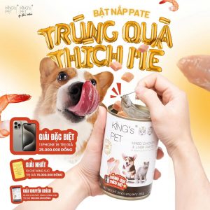 462123133 546639354720040 2954132818069784290 n