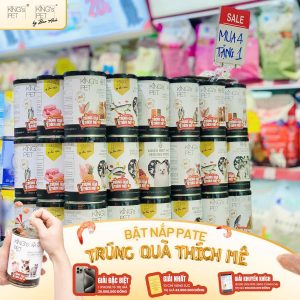 464726734 562189093165066 3314335382974340151 n