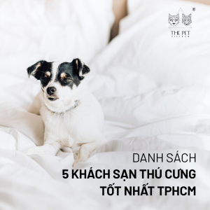 Pate trái cây King's Pet by Bao Anh Cá Thơm & Pate trái cây King’s Pet by Bao Anh Gà Thơm
