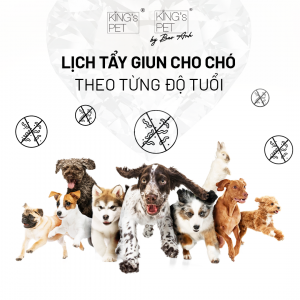 tẩy giun cho chó