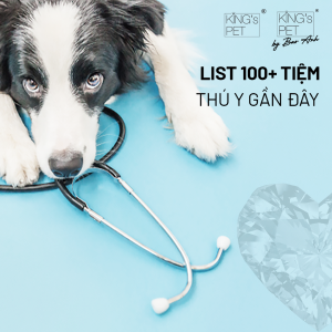 tiệm thú y gần dây