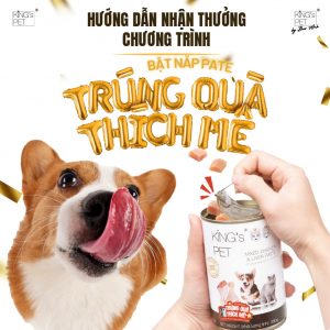 z5916912236263 7d91132ae48a74a892b8702b021e1817