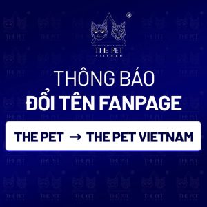 471454705 603967678987207 5809830300375023067 n