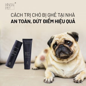 Tẩy giun cho chó ngay, nếu Sen không muốn gặp phải tình trạng này