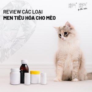 men tieu hoa cho meo 12