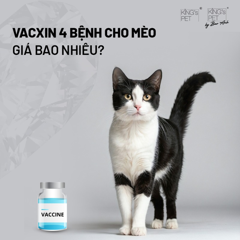 Vacxin 4 bệnh cho mèo giá bao nhiêu?