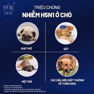 472714316 613944174656224 929867768972864217 n