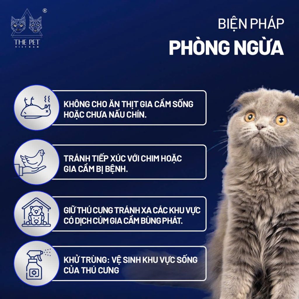 Virus cúm gia cầm ở chó mèo và những điều cần biết 3 472714864 613944217989553 8909916014858686502 n