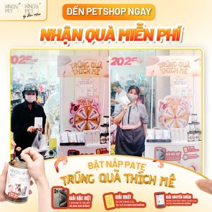 z6237044256099 ca6dcce971719d0a189d997bda90ad32