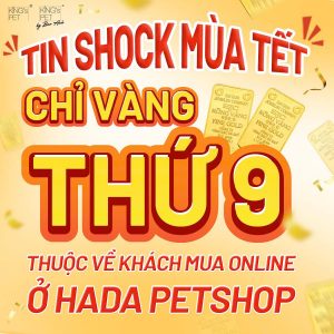 475905205 1163407555792526 8650848243196833846 n