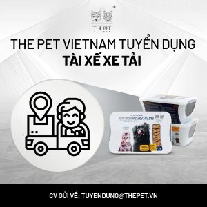 477298249 1170171205116161 3807065462112504367 n