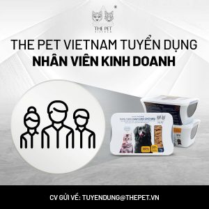💰 Thu nhập: Lương cơ bản + phụ cấp lên đến 10 triệu đồng (chưa tính KPI) ❇️ Mô tả công việc: ✔️ Tư vấn, giới thiệu & bán hàng sản phẩm thức ăn thú cưng ✔️ Tìm kiếm & mở rộng khách hàng mới ✔️ Tiếp nhận thị trường, đảm bảo doanh số & KPI ✔️ Chăm sóc khách hàng hiện hữu & sau bán hàng ✔️ Nghiên cứu thị trường, linh hoạt giải đáp thắc mắc ✔️ Báo cáo & đề xuất phát triển kinh doanh ❇️ Quyền lợi: ✨ Lương tháng 13, thưởng kinh doanh ✨ Môi trường chuyên nghiệp, đào tạo bài bản ✨ BHXH, BHYT đầy đủ sau thử việc 1 tháng ✨ Tăng lương theo hiệu quả công việc (1 năm/lần) ✨ Đồng phục miễn phí, du lịch, team building hàng năm ❗️Yêu cầu: ✅ Giới tính: Nam ✅ Không yêu cầu kinh nghiệm ✅ Tốt nghiệp Đại học/Cao đẳng ✅ Năng động, trách nhiệm, kỹ năng giao tiếp tốt 📩 Ứng tuyển ngay! Gửi CV về tuyendung@thepet.vn Tag ngay bạn bè phù hợp để không bỏ lỡ cơ hội này nhé!