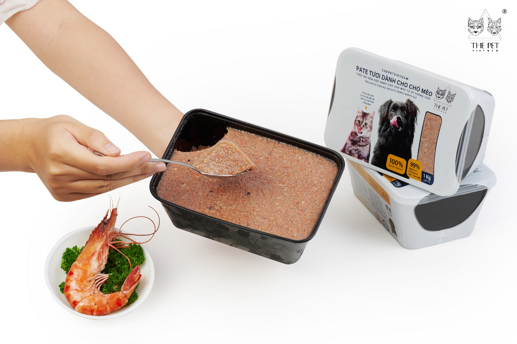 Mèo mang thai bao lâu? Cách đỡ đẻ cho mèo