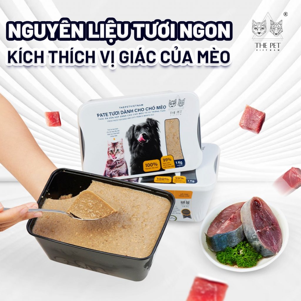 Cách nhận biết mèo thiếu cân 8 483903971 658737030176938 843644817156929431 n