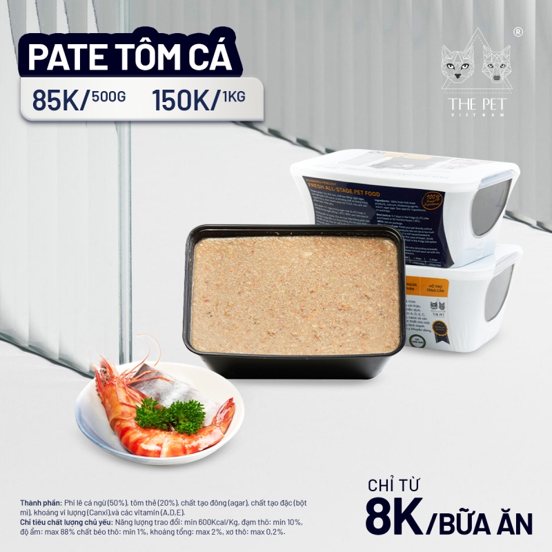 Bạn biết gì về mèo không lông? 5 Bạn biết gì về mèo không lông?