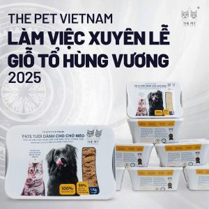 489287659 676586831725291 2844735419023296784 n