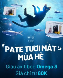 Pate tươi giải nhiệt mùa nắng nóng