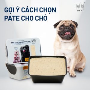 Cách chọn đồ ăn cho chó theo từng lứa tuổi