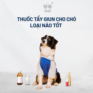 Thuốc tẩy giun cho chó loại nào tốt