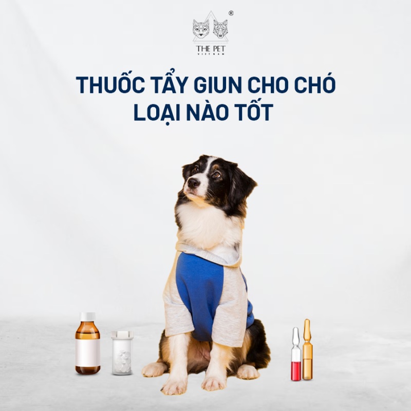 Thuốc tẩy giun cho chó loại nào tốt