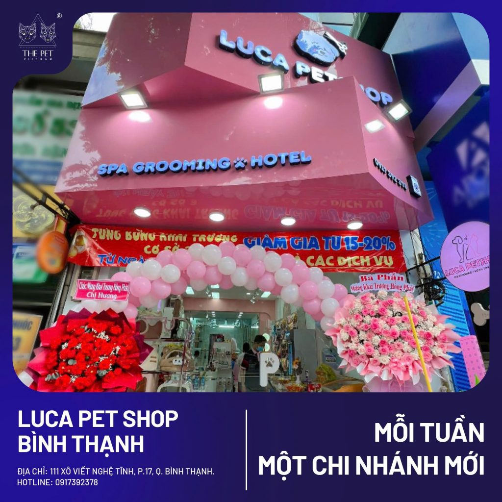 CHÀO ĐÓN ĐIỂM PHÂN PHỐI MỚI CỦA PATE TƯƠI QUỐC DÂN THE PET VIETNAM TẠI LUCA PET SHOP - BÌNH THẠNH - THIÊN ĐƯỜNG CHO BOSS YÊU 1 1 1
