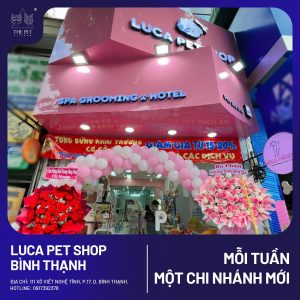CHÀO ĐÓN ĐIỂM PHÂN PHỐI MỚI CỦA PATE TƯƠI QUỐC DÂN THE PET VIETNAM TẠI LUCA PET SHOP - BÌNH THẠNH - THIÊN ĐƯỜNG CHO BOSS YÊU 643 1 1