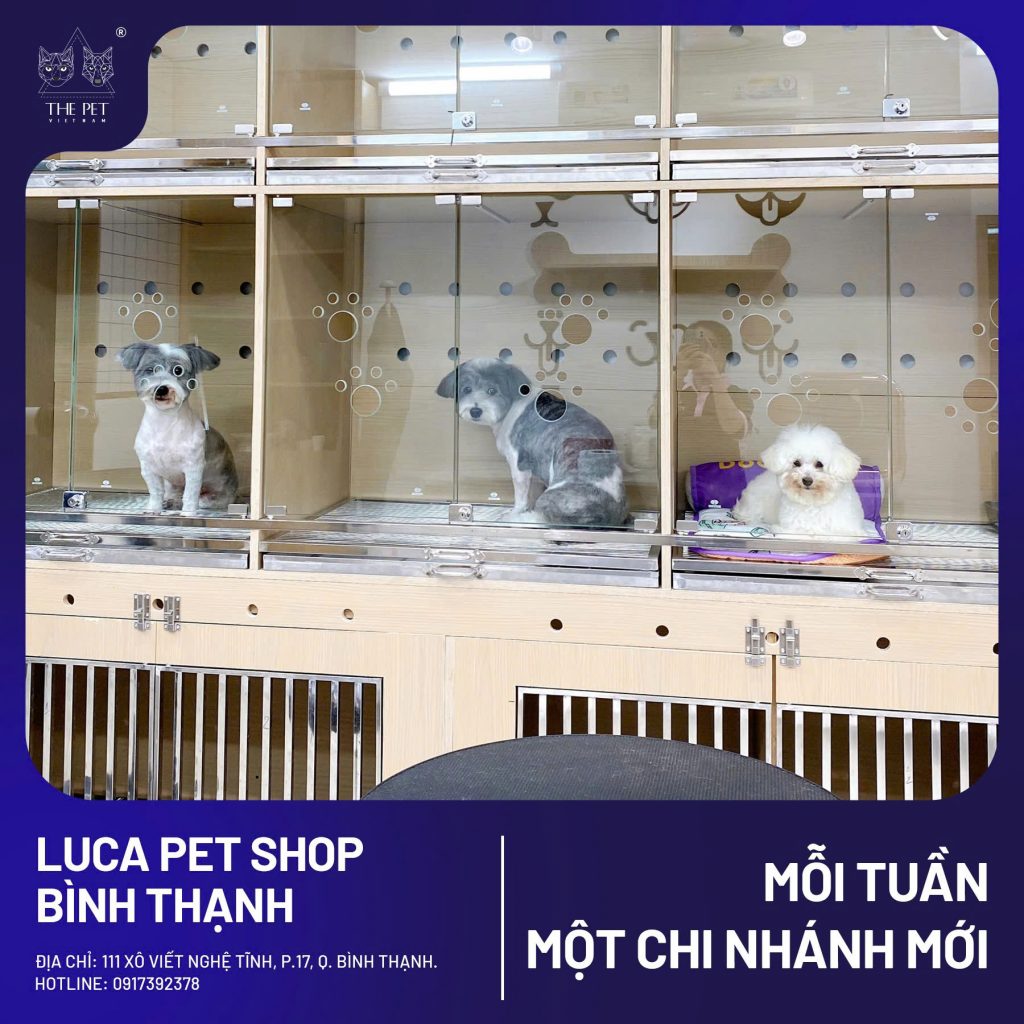 CHÀO ĐÓN ĐIỂM PHÂN PHỐI MỚI CỦA PATE TƯƠI QUỐC DÂN THE PET VIETNAM TẠI LUCA PET SHOP - BÌNH THẠNH - THIÊN ĐƯỜNG CHO BOSS YÊU 5 5 1