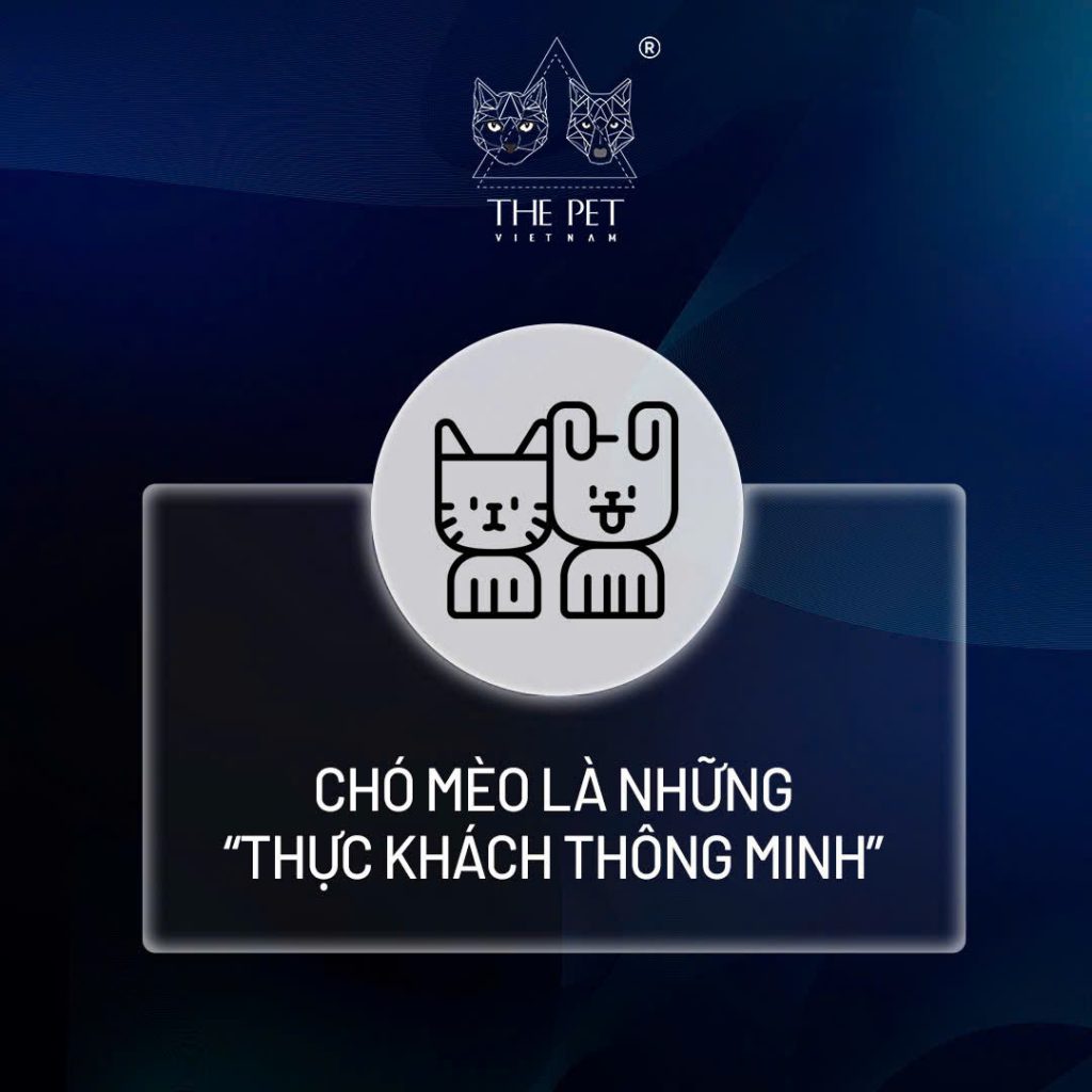 Pate Tươi The Pet Vietnam suy giảm chất lượng, có thật không? 5 5