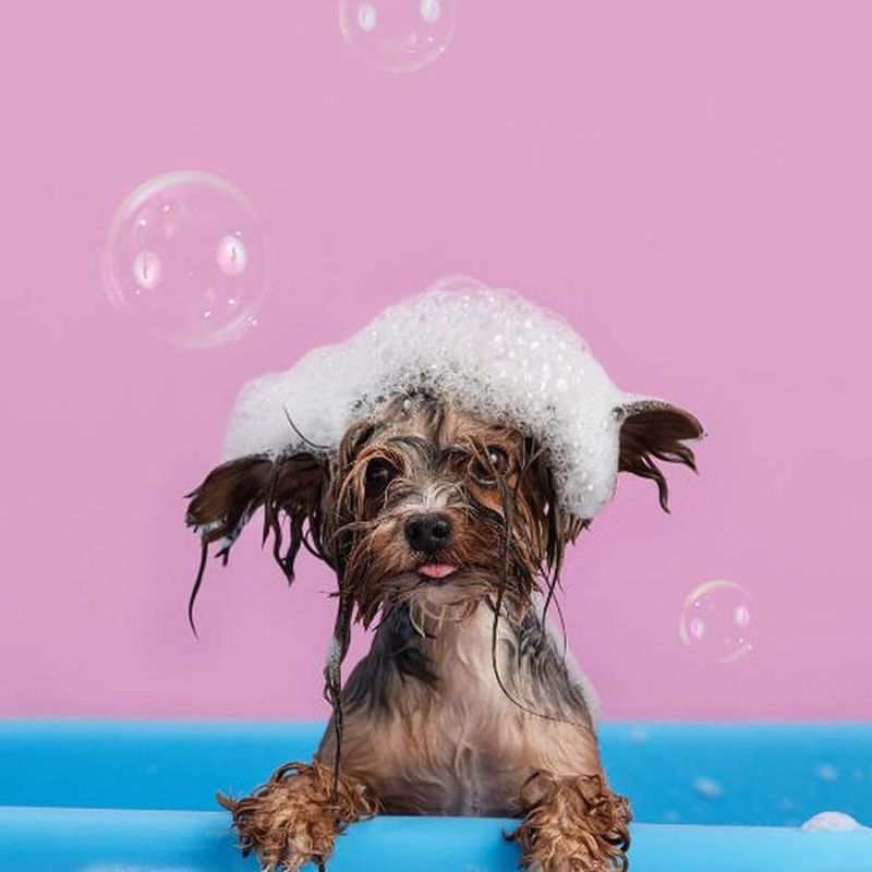 Hãy theo dõi phản ứng của bé con khi tắm.