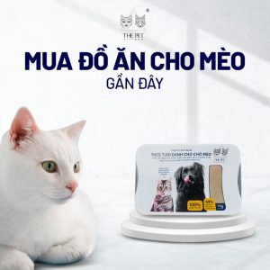 Cập nhật xu hướng mua đồ ăn cho mèo gần đây.