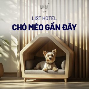 Hotel chó mèo vô cùng tiện nghi và thoải mái.