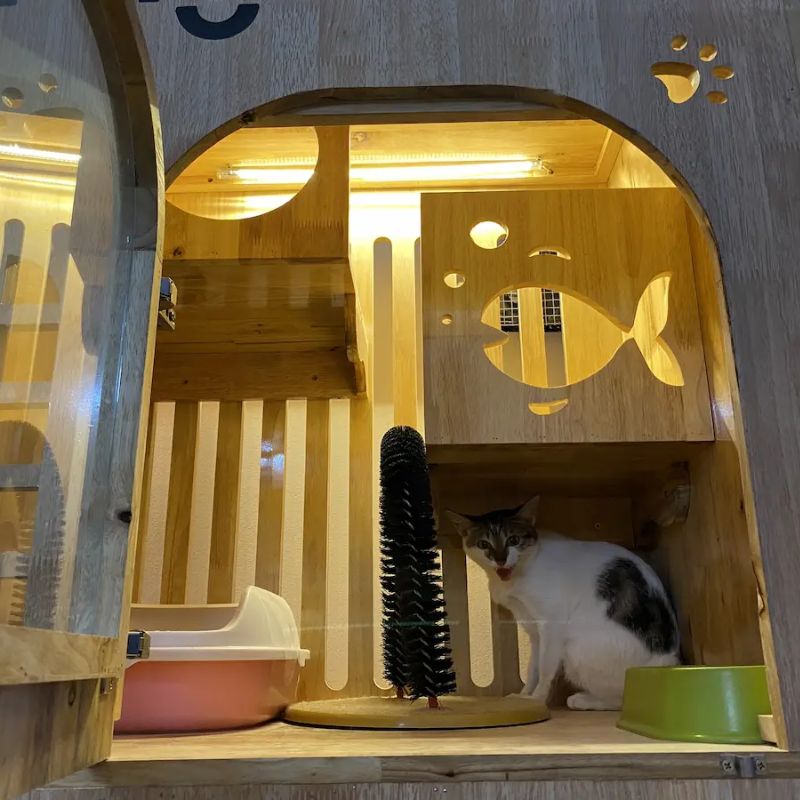 List hotel chó mèo gần đây 2 Hotel chó mèo xịn sò tại quận 7.