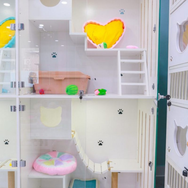 List hotel chó mèo gần đây 3 Hotel thú cưng rất sạch sẽ, đảm bảo an toàn tuyệt đối.