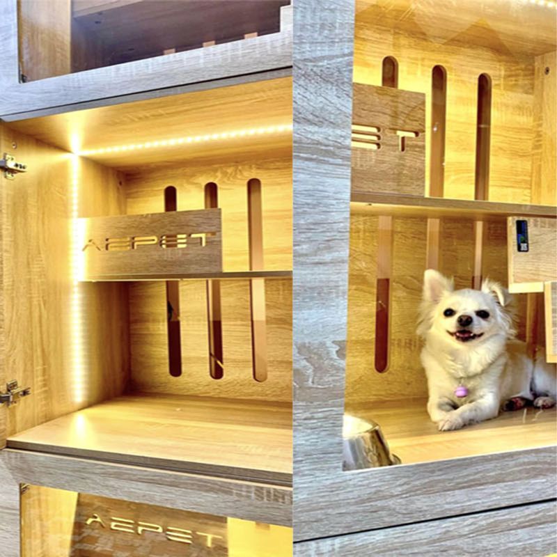 Danh sách khách sạn chó mèo giá rẻ 2 Khách sạn chó mèo giá rẻ tại Đồng Nại cực tiện nghi.